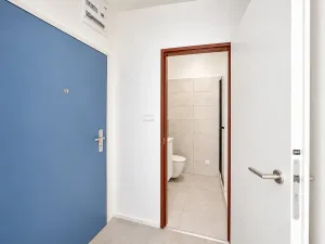 Pronájem bytu 1+kk, Brno, Cejl, 30 m2