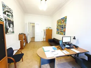 Pronájem bytu 5+1, Praha - Vinohrady, Belgická, 207 m2