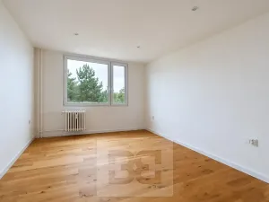 Pronájem bytu 3+1, Mladá Boleslav, Jana Palacha, 80 m2