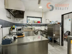 Prodej vícegeneračního domu, Podivín, 450 m2