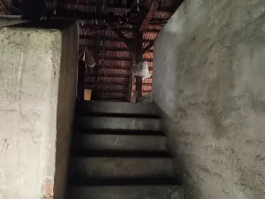 Prodej vícegeneračního domu, Miroslav, Česká, 250 m2