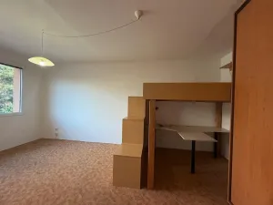 Prodej bytu 1+1, Praha - Hostivař, plukovníka Mráze, 45 m2