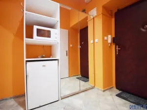 Pronájem bytu 1+kk, Praha - Žižkov, Blodkova, 20 m2