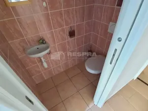 Pronájem bytu 3+1, Praha - Žižkov, Biskupcova, 70 m2