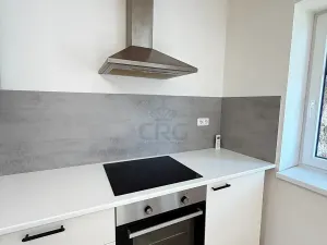 Pronájem bytu 4+kk, Rostěnice-Zvonovice, 111 m2