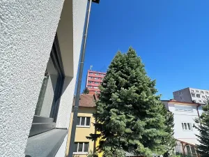 Pronájem bytu 2+kk, Brno, Sovinec, 42 m2