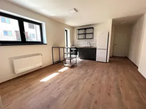 Pronájem bytu 2+kk, Brno, Sovinec, 42 m2