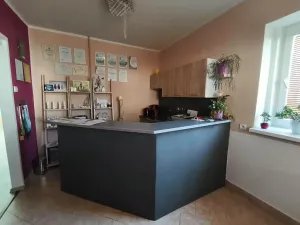 Prodej rodinného domu, Ústí nad Labem, 172 m2