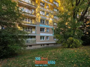 Prodej bytu 1+kk, Praha - Záběhlice, Svojšovická, 28 m2