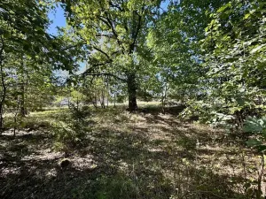 Prodej pozemku pro bydlení, Třeboň, 2630 m2