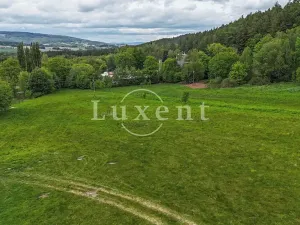 Prodej pozemku pro bydlení, Lipnice nad Sázavou, 38008 m2