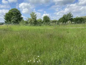 Prodej pozemku, Planá - Pavlovice, 1400 m2