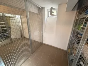 Pronájem bytu 3+1, Praha - Žižkov, Biskupcova, 60 m2
