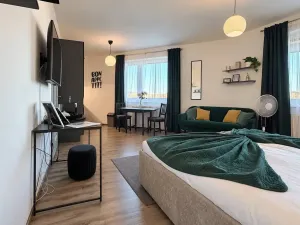 Pronájem bytu 1+kk, Brno, třída Generála Píky, 36 m2