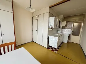 Pronájem bytu 1+1, Praha - Malešice, Limuzská, 46 m2