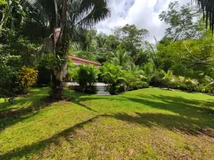 Prodej apartmánu, Puerto Carrillo, Kostarika, 210 m2