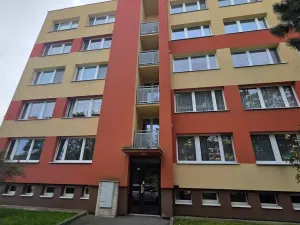 Pronájem bytu 1+1, Mladá Boleslav - Mladá Boleslav II, Václavkova, 41 m2