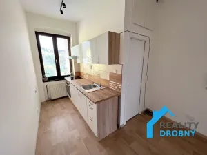 Pronájem bytu 1+1, Děčín, Horská, 36 m2