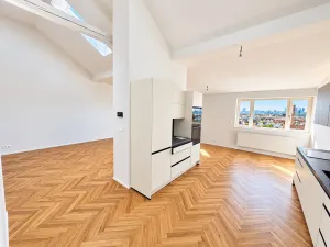 Pronájem bytu 2+kk, Praha - Smíchov, Holečkova, 93 m2