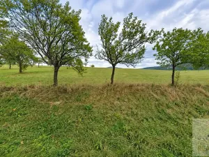 Prodej pozemku pro bydlení, Pozlovice, 1092 m2