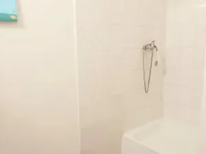 Pronájem bytu 2+kk, Praha - Vinohrady, 44 m2