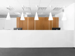 Pronájem kanceláře, Praha - Holešovice, Dělnická, 50 m2