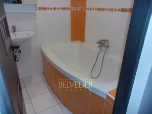 Pronájem bytu 2+kk, Novosedlice, Komenského, 54 m2
