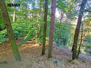 Prodej chaty, Hřivice, 15 m2