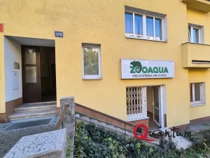 Pronájem obchodního prostoru, Praha - Žižkov, Hartigova, 45 m2