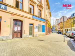 Pronájem obchodního prostoru, Plzeň - Jižní Předměstí, Palackého, 48 m2