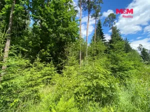 Prodej lesa, Slabčice - Nemějice, 1272 m2