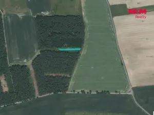 Prodej lesa, Slabčice - Nemějice, 1272 m2