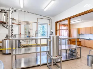Pronájem výrobních prostor, Nová Ves u Chotěboře, 266 m2