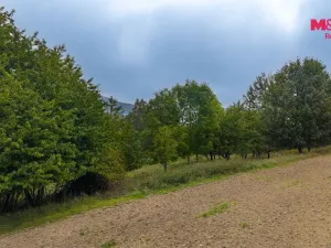 Prodej pole, Blíževedly - Hvězda, 38582 m2