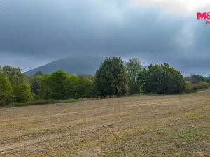 Prodej pole, Blíževedly - Hvězda, 38582 m2