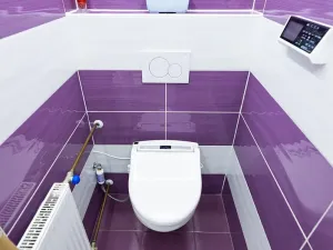 Prodej vícegeneračního domu, Vejprty, 900 m2