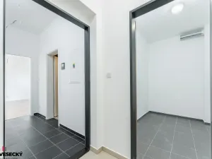 Prodej bytu 1+kk, Plzeň, Železná, 38 m2