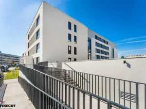 Prodej bytu 1+kk, Plzeň, Železná, 38 m2