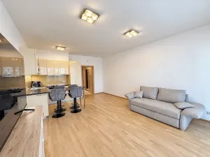 Pronájem bytu 1+kk, Praha - Žižkov, Olšanská, 37 m2