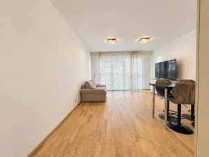 Pronájem bytu 1+kk, Praha - Žižkov, Olšanská, 37 m2