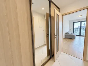 Pronájem bytu 1+kk, Praha - Žižkov, Olšanská, 37 m2