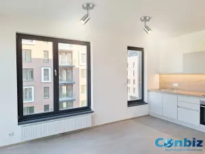 Pronájem bytu 3+kk, Praha - Karlín, Švarcova, 75 m2