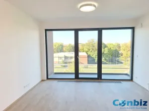 Pronájem bytu 3+kk, Praha - Karlín, Švarcova, 75 m2