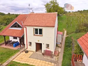 Prodej vinného sklepa, Mutěnice, Slovácká, 164 m2