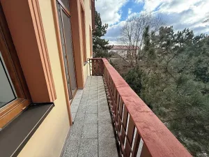 Pronájem bytu 3+1, Želešice, 158 m2
