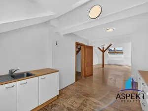 Prodej bytu 3+kk, Praha - Nové Město, Jungmannova, 140 m2