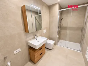 Pronájem bytu 2+1, Kladno, Engerth, 51 m2