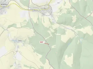 Dražba lesa, Pitín, 1282 m2