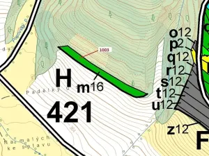 Dražba lesa, Náměšť nad Oslavou, 3001 m2