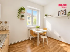 Pronájem bytu 1+1, Pardubice - Zelené Předměstí, Havlíčkova, 48 m2